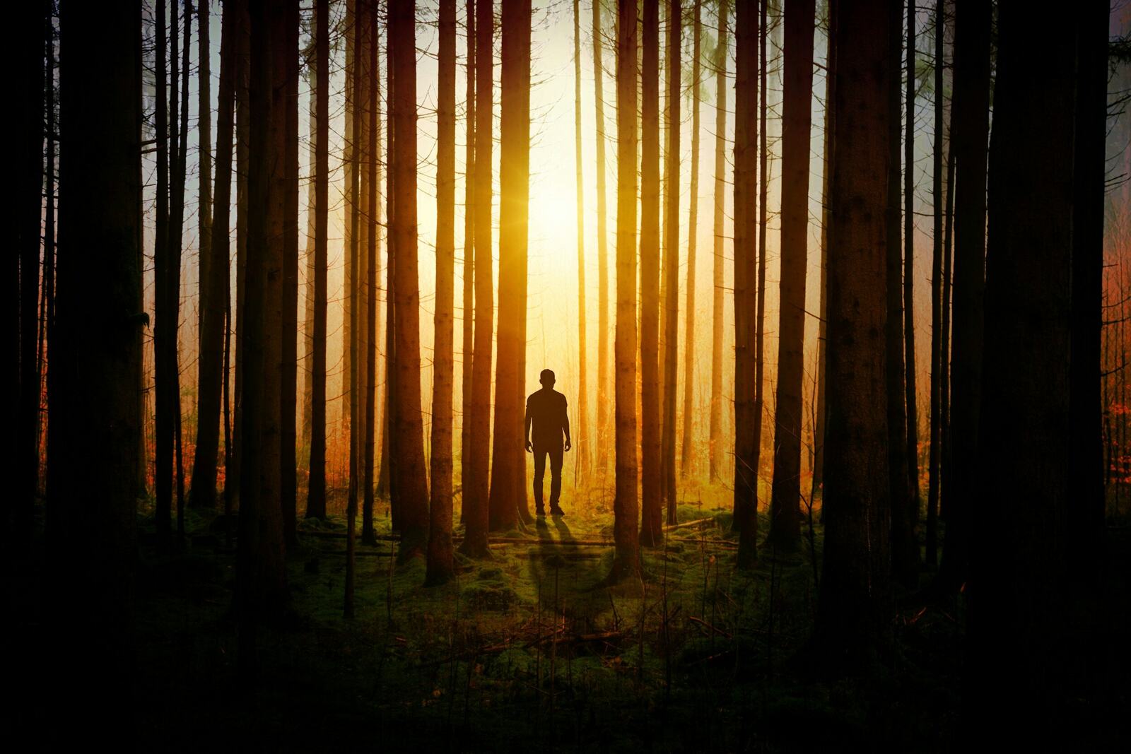 Kelowna Film Studios is Looking for Thriller Scripts
