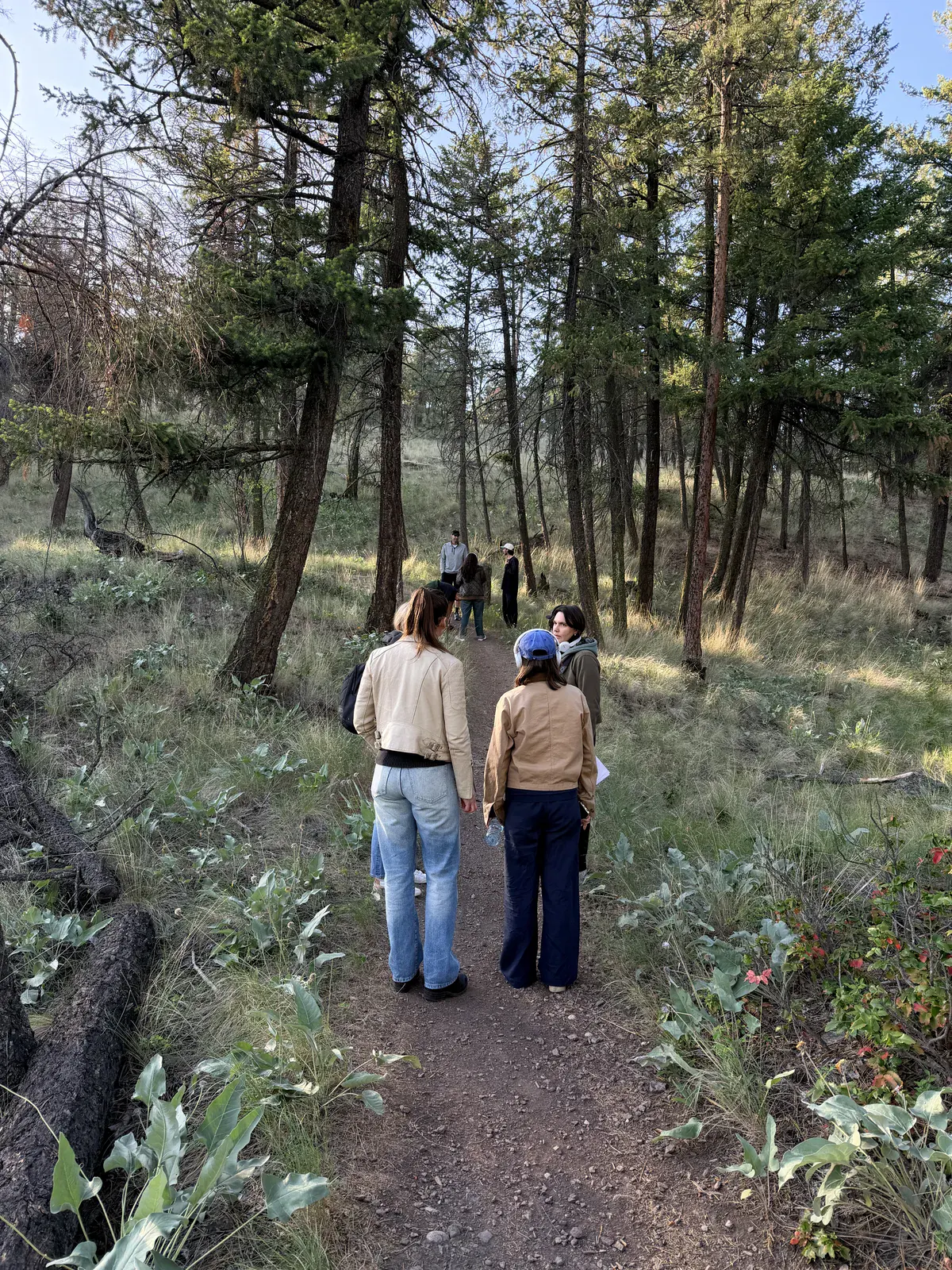 Crew walking through a wooded Okanagan location during the Airbnb host stories campaign