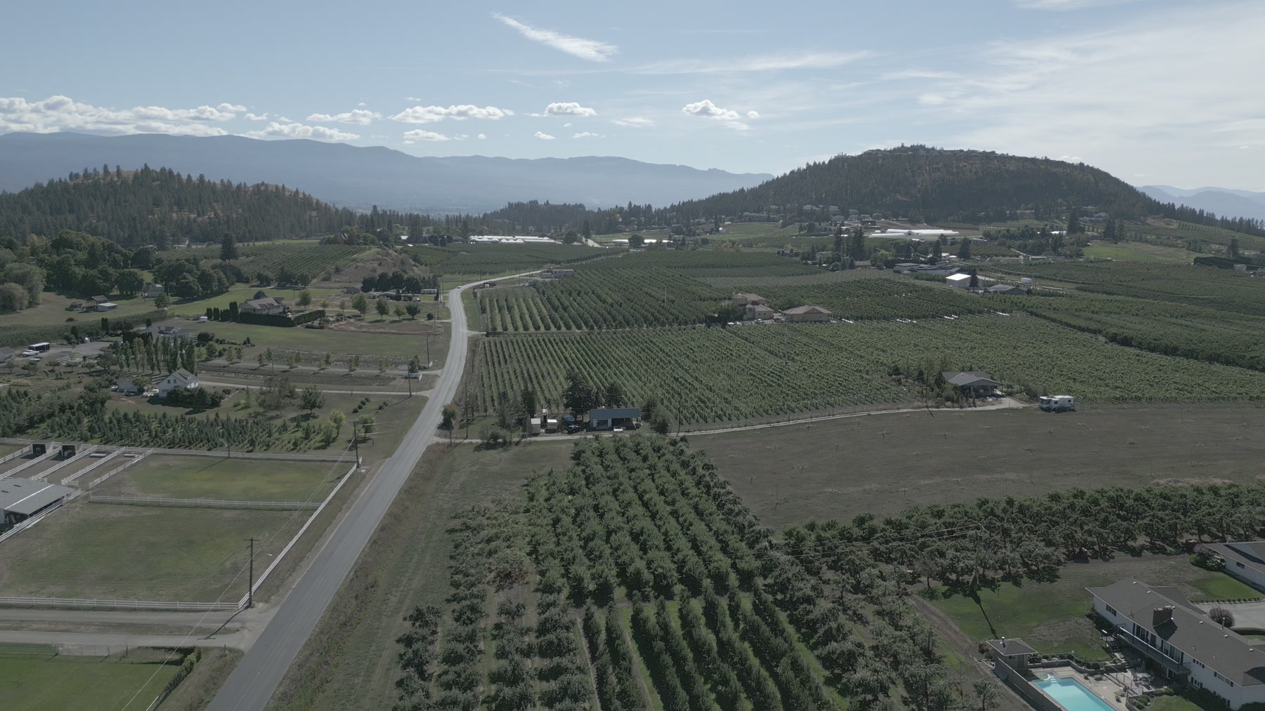 Aerial view of orchards, rural roads and rolling Okanagan terrain