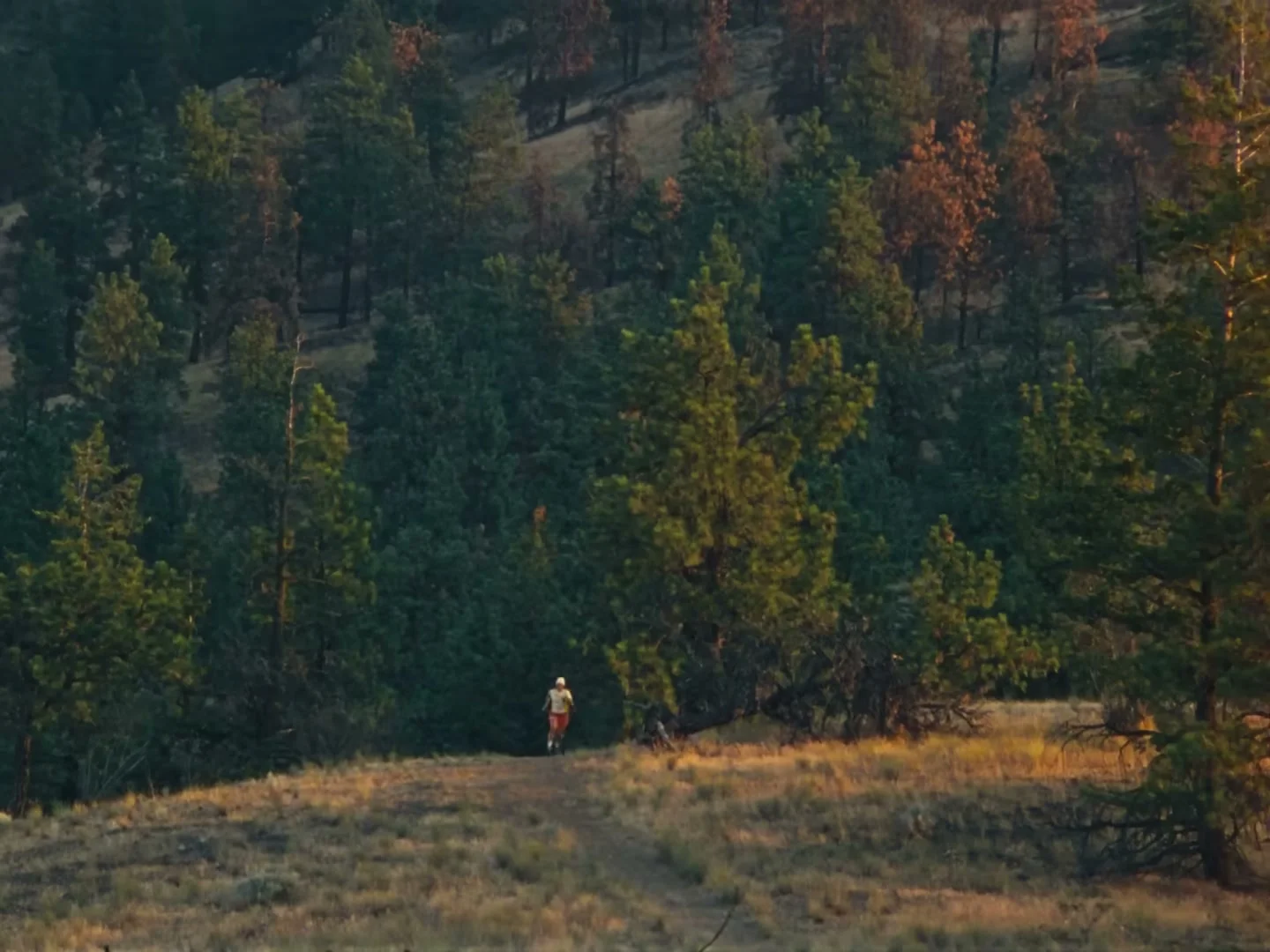 Lone runner crossing a sunlit clearing in the finished Ciele commercial