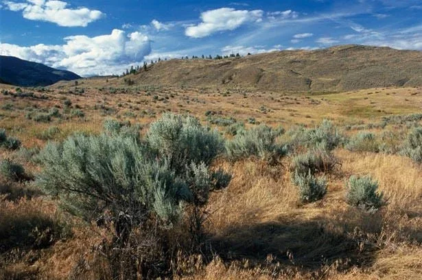 Dry Okanagan grassland and mountain terrain
